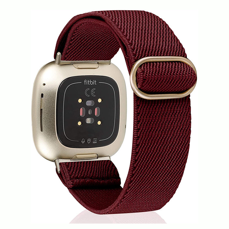 Best fitbit best sale versa 2 accessories